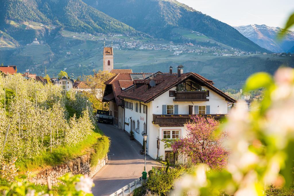 Vila Weingut Pardellerhof Marlengo Exteriér fotografie