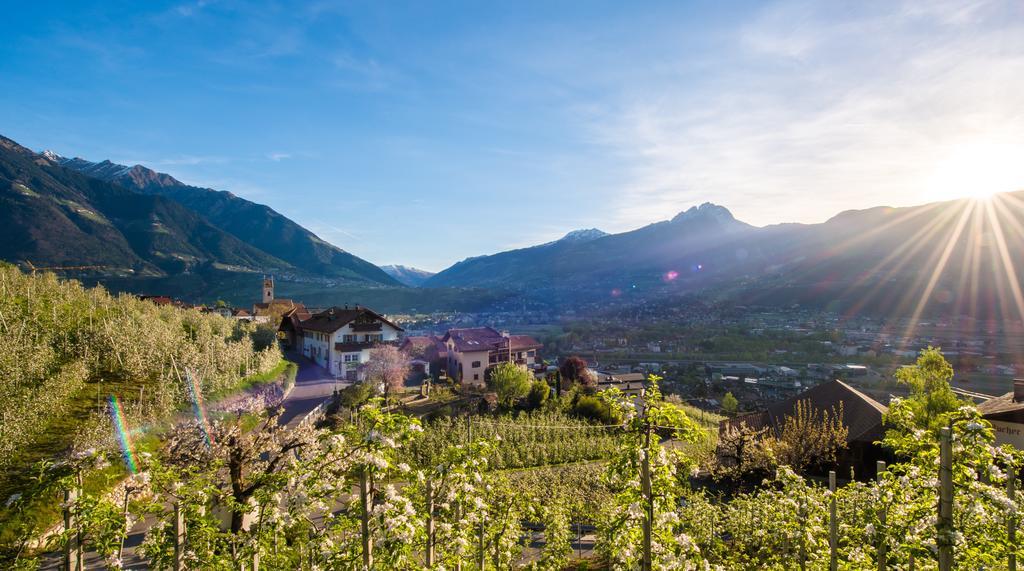 Vila Weingut Pardellerhof Marlengo Exteriér fotografie